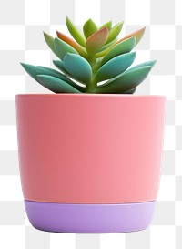 PNG Plant pot leaf vase  