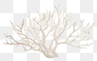 PNG Staghorn coral plant tree white background. AI generated Image by rawpixel.
