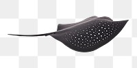 PNG A black stingray white background folded animal