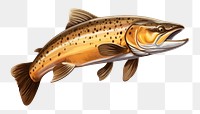 PNG Trout fish trout animal white background. AI generated Image by rawpixel.