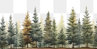 PNG Border pine trees backgrounds outdoors woodland