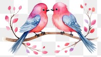 PNG Love birds animal creativity perching. AI generated Image by rawpixel.