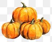 PNG Pumpkins vegetable squash plant. AI generated Image by rawpixel.