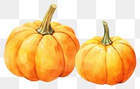 PNG Pumpkins vegetable squash plant. AI generated Image by rawpixel.