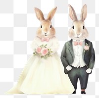 PNG Cute rabbits wedding animal mammal adult. 