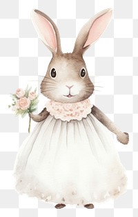 PNG Cute rabbits wedding animal rodent mammal. 