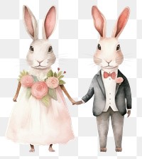 PNG Cute rabbits wedding animal rodent mammal. AI generated Image by rawpixel.