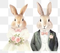 PNG Cute rabbits wedding animal rodent mammal. 