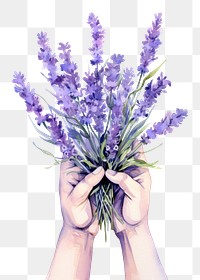 PNG handful of lavender transparent background