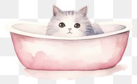 PNG Cat bath bathtub animal mammal. 