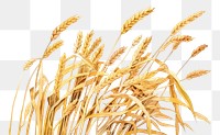 PNG Agriculture plant wheat food. AI generated Image by rawpixel.
