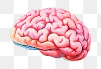PNG Brain drawing water freshness. AI generated Image by rawpixel.
