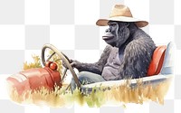 PNG Mammal animal monkey ape. AI generated Image by rawpixel.