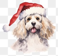 PNG Dog celebrating Christmas christmas spaniel mammal. 