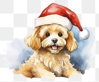 PNG Dog celebrating Christmas christmas mammal animal. 