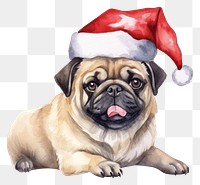 PNG Dog celebrating Christmas christmas mammal animal. 