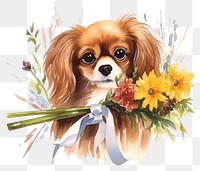 PNG Dog flower bouquet animal papillon spaniel. 