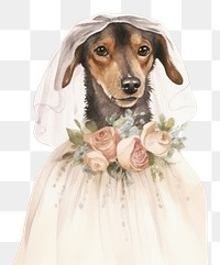 PNG Dogs married wedding animal portrait. 