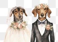 PNG Dogs married wedding animal portrait. 