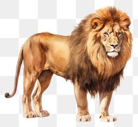 PNG Lion wildlife mammal animal. AI generated Image by rawpixel.