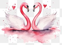 PNG Swans flamingo animal love. 