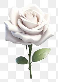 PNG Rose white flower plant. AI generated Image by rawpixel.