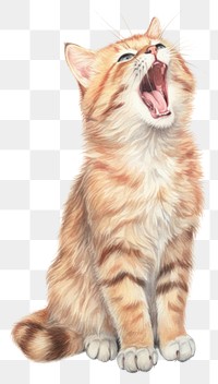 PNG yawning fluffy kitten illustration