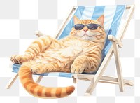 PNG Relaxed cat sunglasses beach