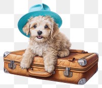 PNG Puppy suitcase luggage baggage. 