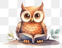 PNG Owl read a book animal cartoon drawing. 