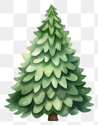 PNG Christmas tree plant white background celebration. 