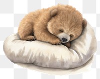 PNG Baby cartoonish sloth animal sleeping mammal. 