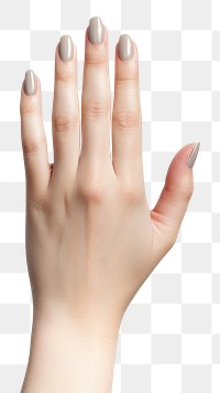 PNG Elegant nude manicure hand.