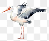PNG  Stor stork animal bird AI generated Image by rawpixel