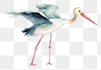 PNG  Stork stork animal bird. AI generated Image by rawpixel.