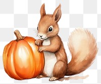 PNG Squirrel pumpkin rodent mammal. 