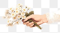 PNG Hand holding a flower hand finger plant. AI generated Image by rawpixel.