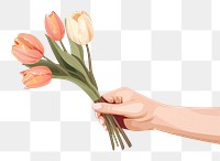 PNG  Tulip bouquet hand holding flower. AI generated Image by rawpixel.