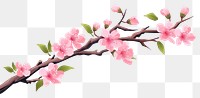 PNG Japanese sakura branch blossom flower plant. AI generated Image by rawpixel.