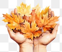 PNG Hand holding autumn leaves. AI generated Image by rawpixel.