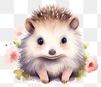 PNG Hedgehog animal mammal rodent. 