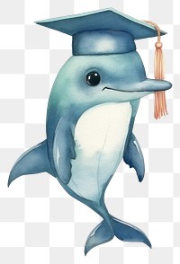 PNG Dolphin student animal cartoon mammal. 