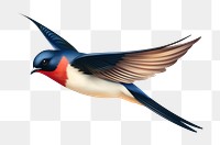 PNG Swallow animal bird beak