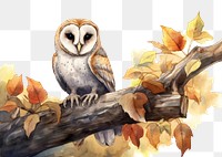 PNG Barn owl animal bird creativity. 