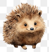 PNG Hedgehogs hedgehog animal mammal. 