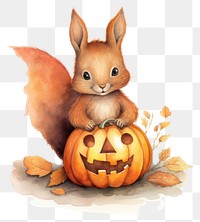 PNG Red squirrel animal pumpkin rodent. 