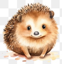 PNG Hedgehogs hedgehog animal mammal. 