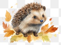 PNG Hedgehogs hedgehog animal porcupine. 