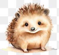 PNG Hedgehogs hedgehog animal mammal. 