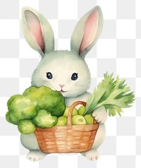 PNG Cute rabbit holding vegetable busket cartoon basket mammal. 